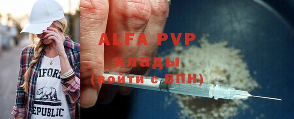 прущие грибы Кулебаки
