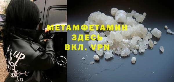 прущие грибы Кулебаки