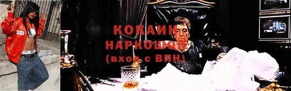прущие грибы Кулебаки
