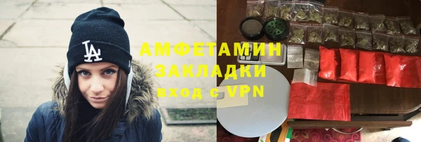 прущие грибы Кулебаки