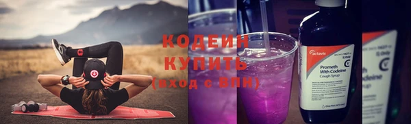 прущие грибы Кулебаки