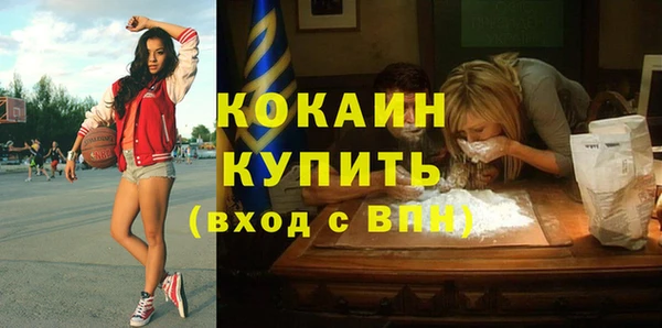 прущие грибы Кулебаки