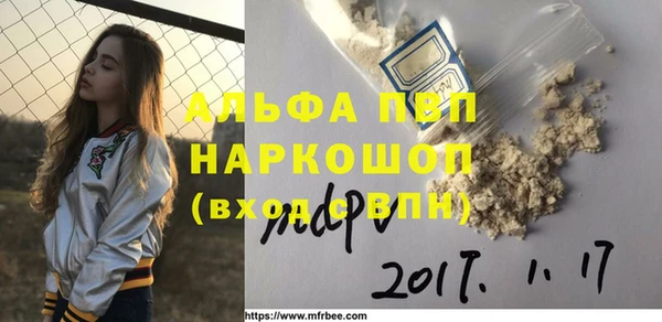 прущие грибы Кулебаки