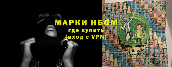 прущие грибы Кулебаки