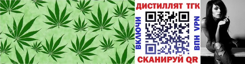 продажа наркотиков  Чегем  ТГК жижа 