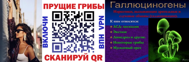 Галлюциногенные грибы прущие грибы наркошоп Чегем